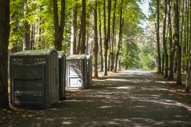 Best Portable Toilets with Baby Changing Stations  in Brock Hall, MD